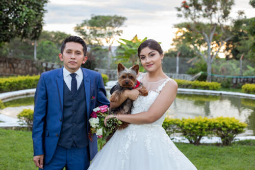 Fotografia-Bodas-318